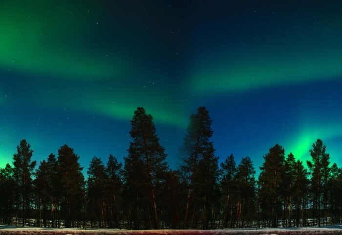 Trippin’ to Finland and other destinations with the library