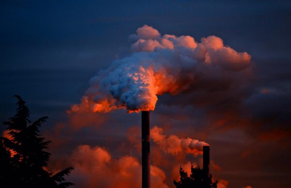Reflections on the economy-ecology paradox