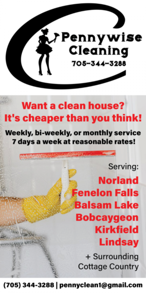 Pennywise Cleaning ad