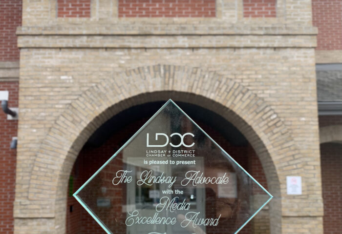 Advocate wins Media Excellence award through LDCC