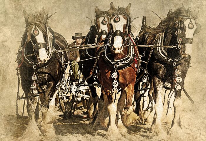 Plowing