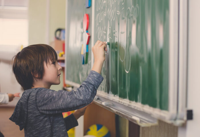 Summer learning programs offered to students by TLDSB to fill in learning gaps